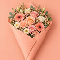 Soft Pink Verpakking - 1 Ex