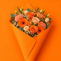 Orange Verpakking op Rol - 1 Ex