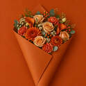 Warm orange Verpakking - Colora