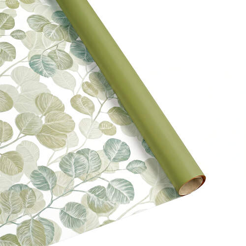 Eucalyptus olive